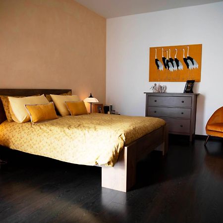 Sound Of Colors - Art Design Apartment 데센자노델가르다 외부 사진